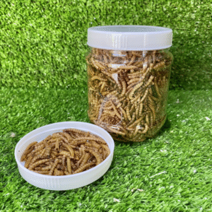 Sushi jar 100g French Bulldog Dried mealworm jar 80g